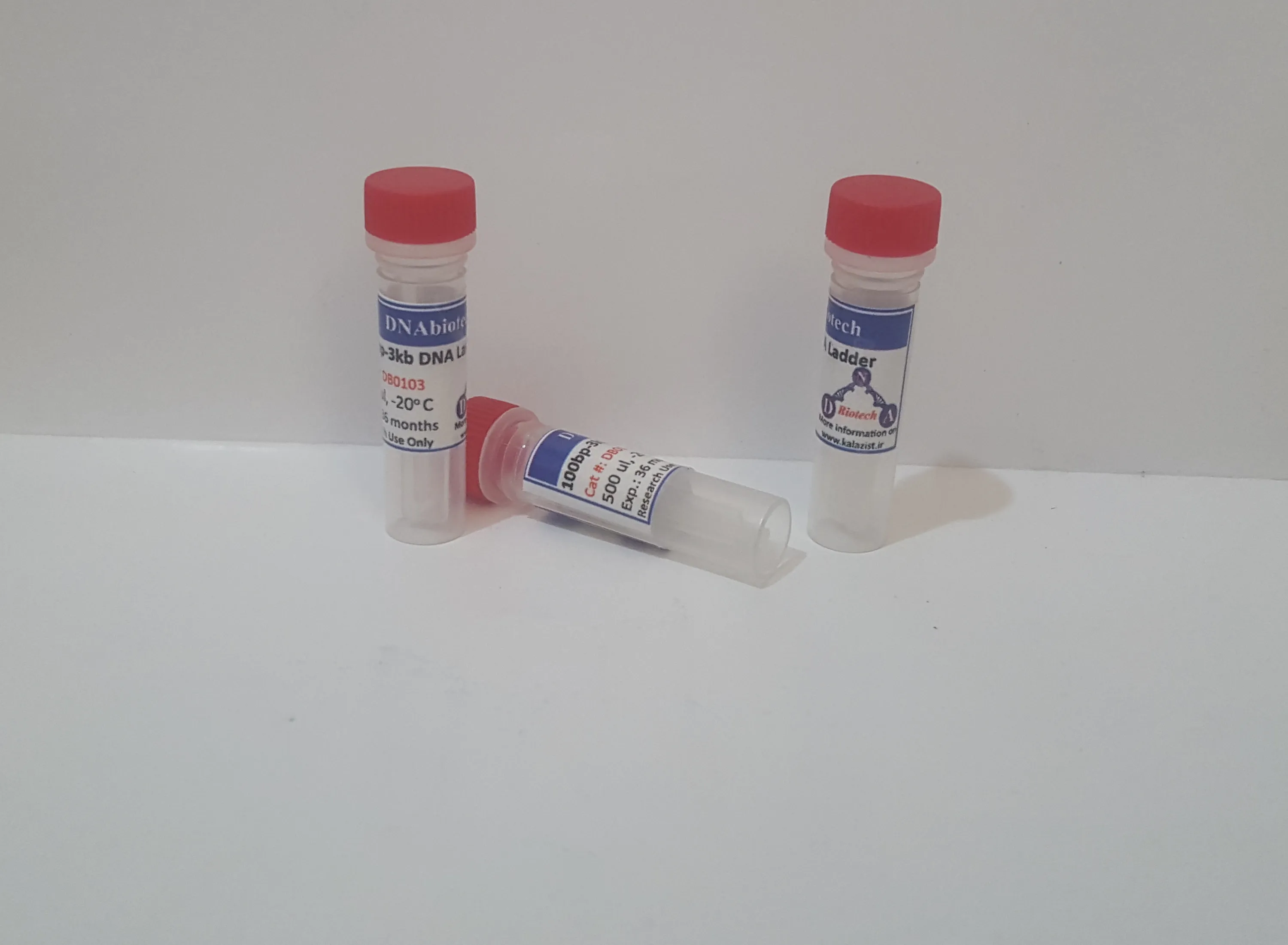 dna ladder dna marker kalazist لدر مارکر dna کالا زیست dna ladder dna marker kalazist لدر مارکر dna کالا زیست